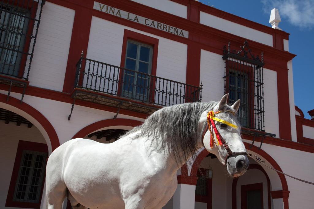 La Carrena Hotel Jerez de la Frontera Phòng bức ảnh